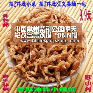 中国常州紫荆公园摩天轮改名景观塔“BBIN棋牌,BBIN入口,BBIN电竞,BBIN百家乐”(图3) BBIN棋牌,BBIN入口,BBIN电竞,BBIN百家乐
