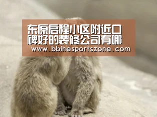 东原启程小区附近口碑好的装修公司有哪些?-BBIN棋牌,BBIN入口,BBIN电竞,BBIN百家乐(图3) BBIN棋牌,BBIN入口,BBIN电竞,BBIN百家乐
