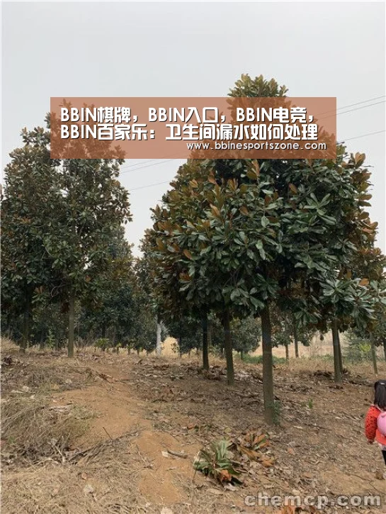 BBIN棋牌,BBIN入口,BBIN电竞,BBIN百家乐:卫生间漏水如何处理有效 卫生间为什么会漏水(图2) BBIN棋牌,BBIN入口,BBIN电竞,BBIN百家乐