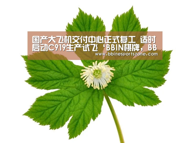 国产大飞机交付中心正式复工 适时启动C919生产试飞‘BBIN棋牌,BBIN入口,BBIN电竞,BBIN百家乐’(图1) BBIN棋牌,BBIN入口,BBIN电竞,BBIN百家乐